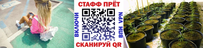 Как найти наркотики Тобольск Галлюциногенные грибы  Метамфетамин  КОКАИН  ЭКСТАЗИ  кракен ССЫЛКА  Меф мяу мяу  ГАШ  Конопля 