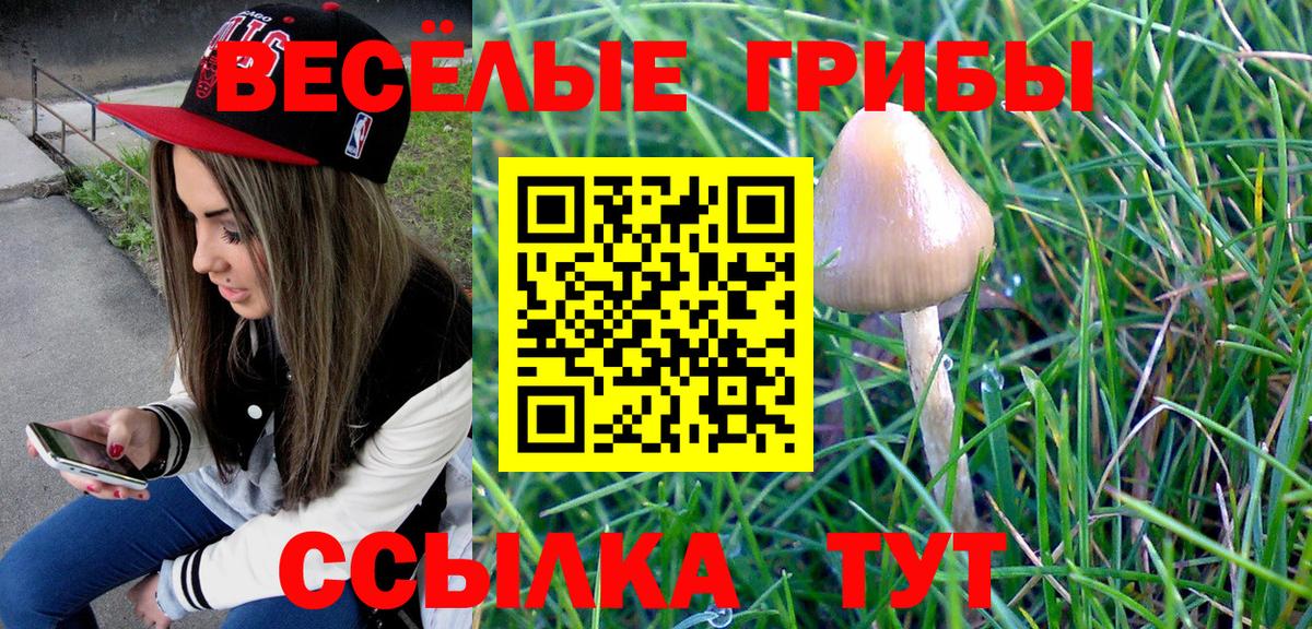 Галлюциногенные грибы MAGIC MUSHROOMS  Псилоцибиновые грибы GOLDEN TEACHER  Тобольск 