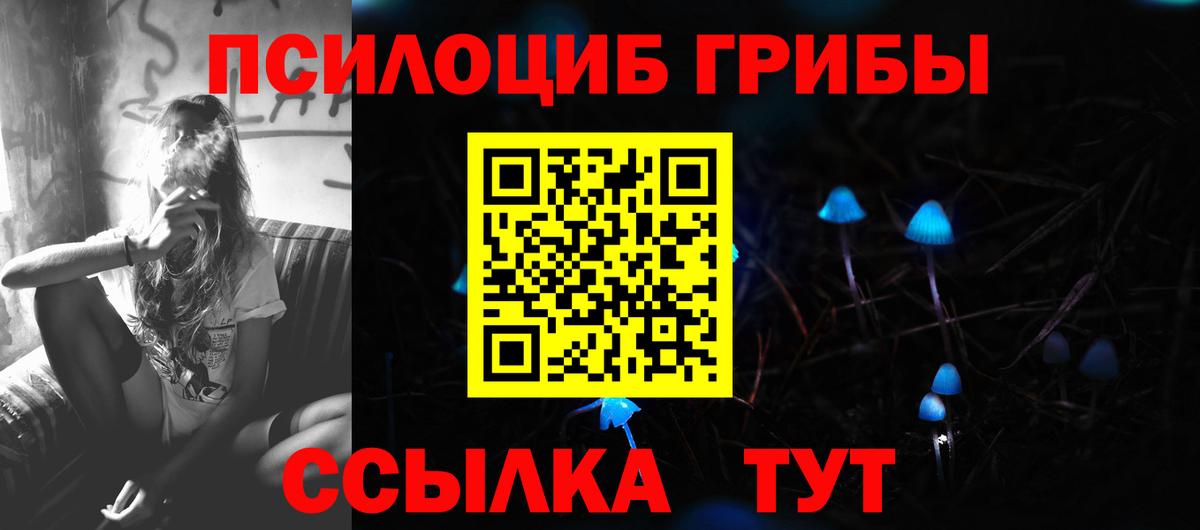 Псилоцибиновые грибы Magic Shrooms Тобольск