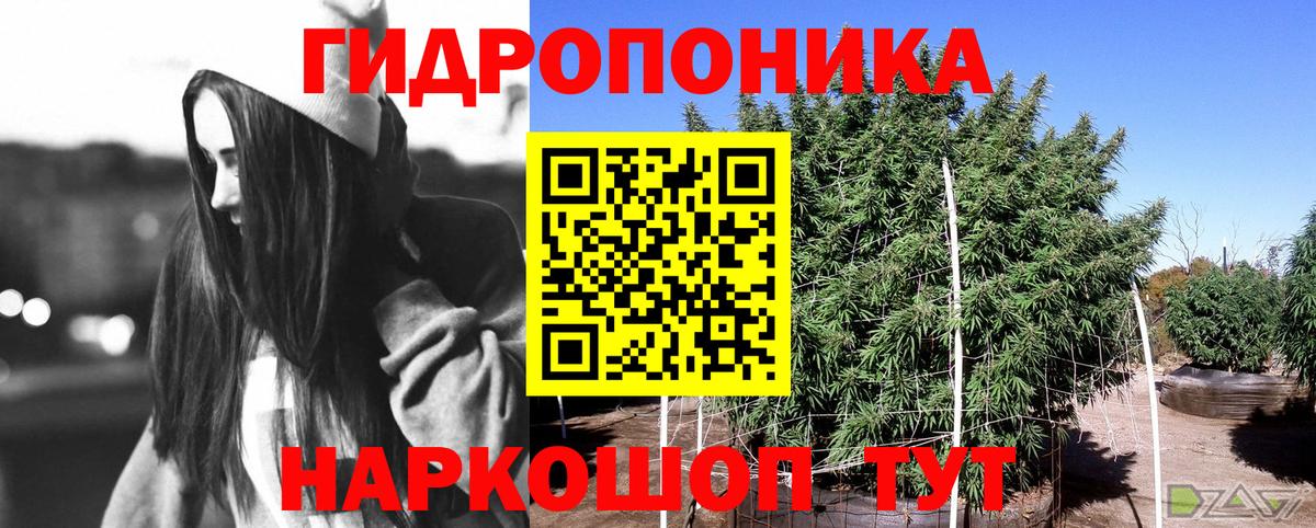 МАРИХУАНА SATIVA & INDICA  Вход с VPN  МАРИХУАНА White Widow  Каннабис конопля  Тобольск 